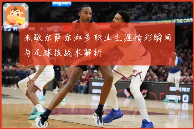 米歇尔萨尔加多职业生涯精彩瞬间与足球技战术解析